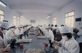 1990s Production workshop