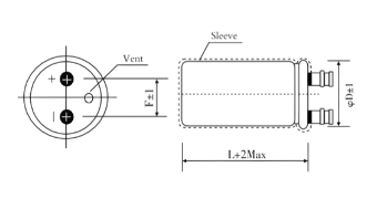 HUAYU screw terminal capacitor product line